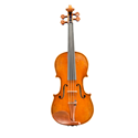 Eastman VL305 Electro-Acoustic 4/4 Step-Up Violin