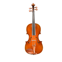 Eastman VA405 15.5" Intermediate Viola