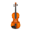 Samuel Eastman VL100 Student Violin Outfit