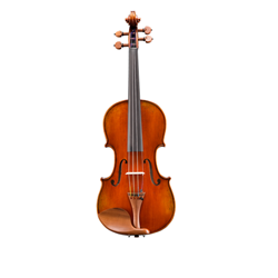 Eastman VL405 Andreas Eastman 4/4 Step-Up Violin
